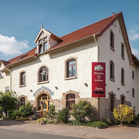 Hotel Pfaffenhofen Schwabenheim an der Selz Extérieur photo